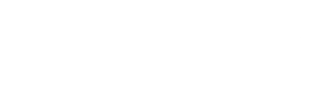 Turtle Cruise